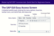 Demonstration: First Look - Navigating the SAP GUI Easy Access Screen ...